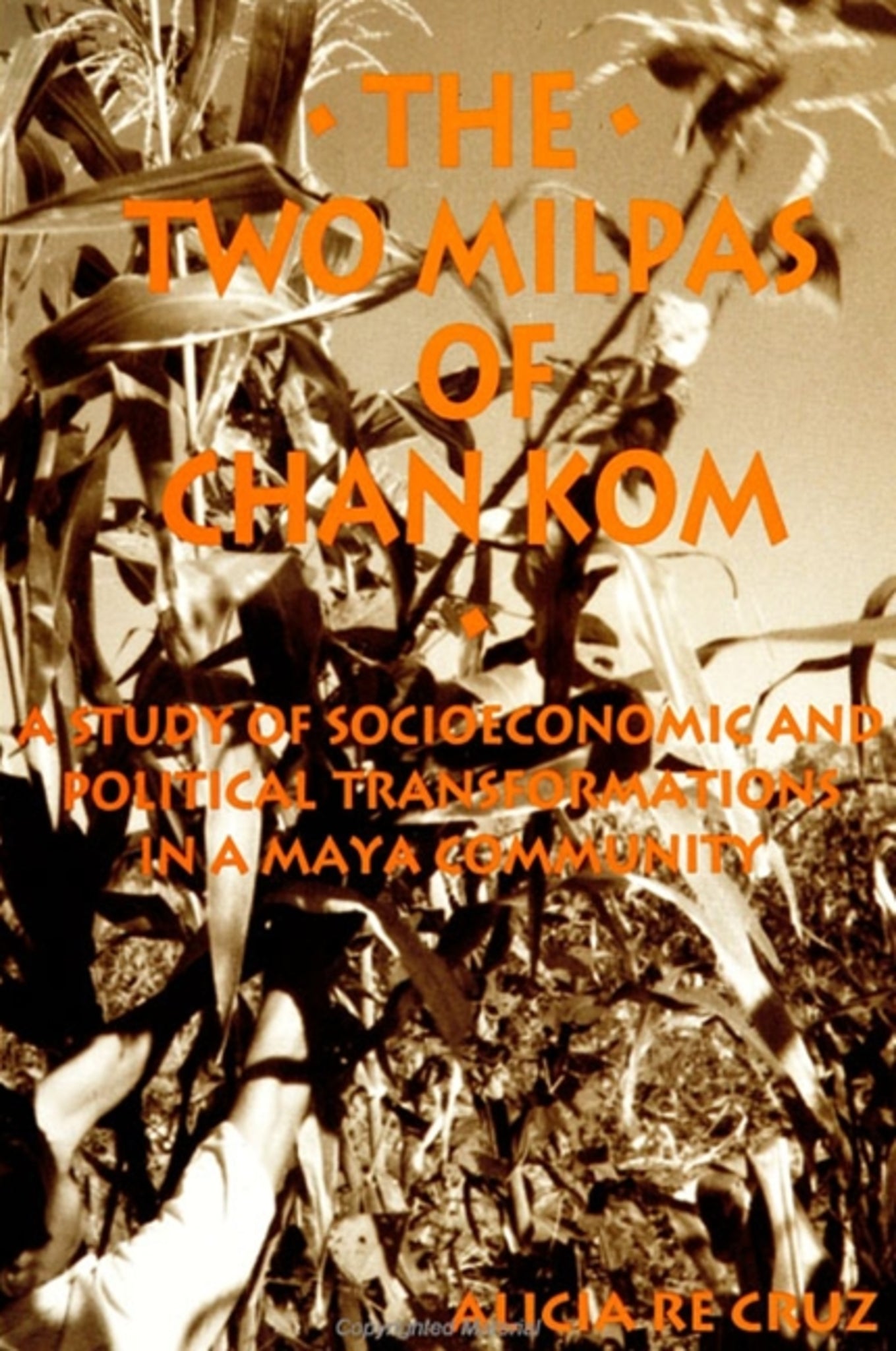 Cover image for The Two Milpas of Chan Kom ISBN 9780791428306